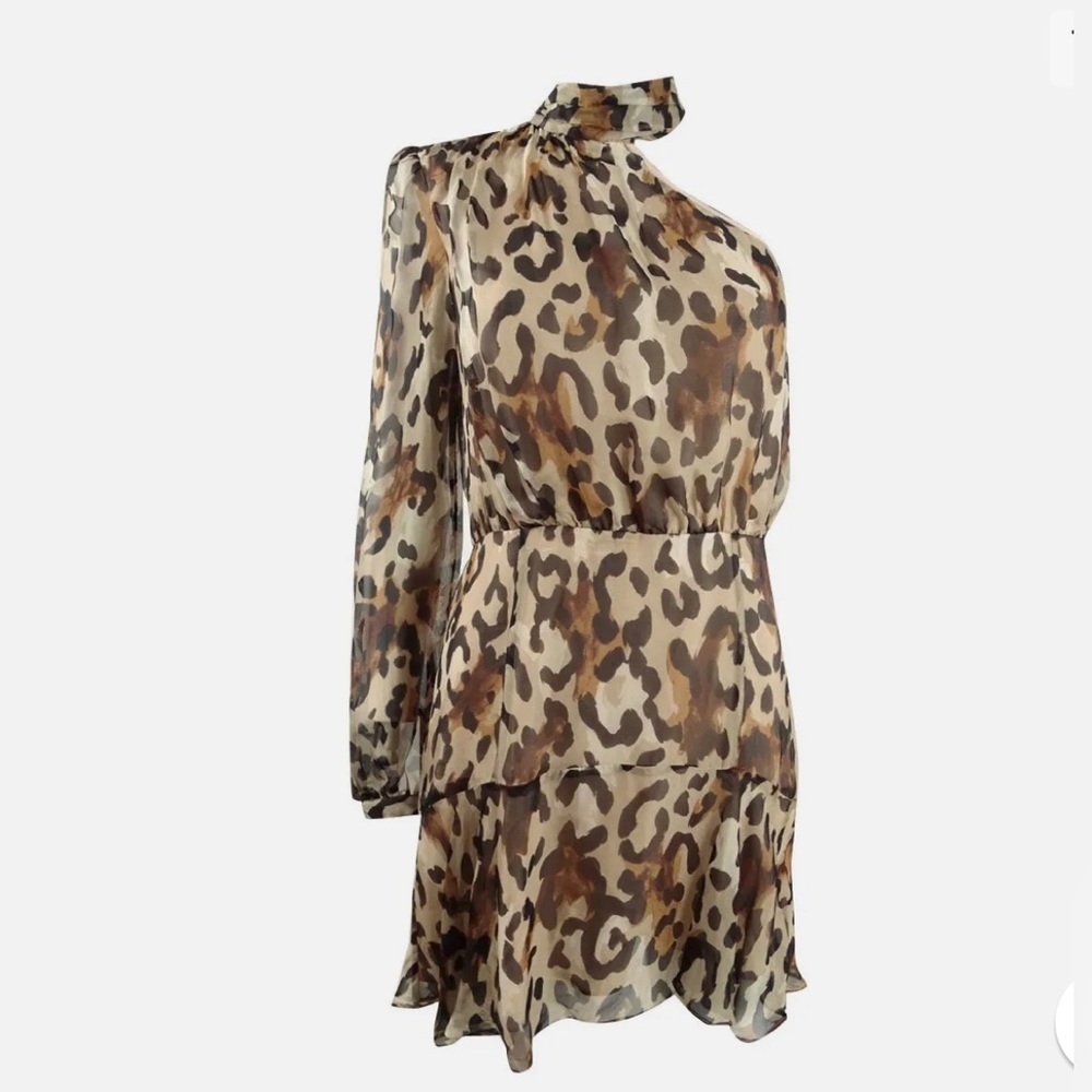 Rachel Zoe Ferguson Dress